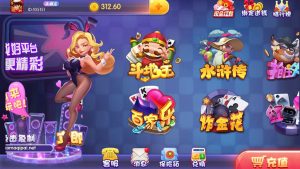 【会员免费】宝马棋牌游戏 二次开发版本 全套源码-源码博士