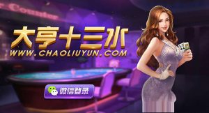 【钻石会员免费】大亨十三水最终修复版-源码博士