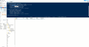 【钻石会员免费】最新版神兽组件搭建教程-源码博士