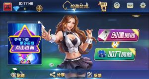 【会员免费】皖南比鸡运营版 服务器打包-源码博士