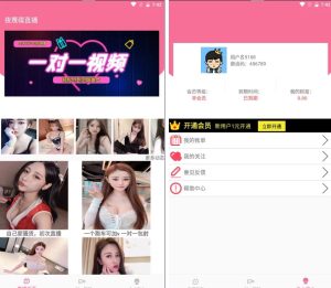 【钻石会员免费】最新暗雷跳蹬max带WIN挂机端+搭建视频教程-源码博士