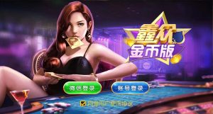 【钻石会员免费】鑫众金币版大联盟 含代理+银商功能-源码博士