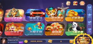 【钻石会员免费】纯正迪拜电玩城组件-源码博士