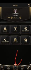 【钻石会员298】首发 时时娱乐扯旋组件 h5加app-源码博士