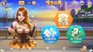 【钻石会员免费】网狐精华版系列牛讯二开唯思棋牌-源码博士