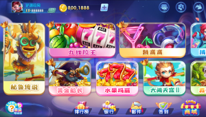 【钻石会员免费】网狐系列新款街机王电玩城-源码博士