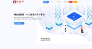 【会员免费】带USDT通道易支付系统网站源码 易支付源码运营版无后门-源码博士