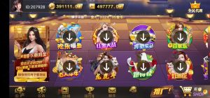 【钻石会员免费】荣耀国际完整游戏源码+架设简单完美运营-源码博士