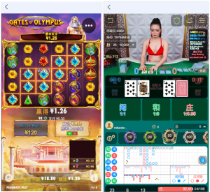 首发欧宝娱乐城系统源码TG游戏API接口厂商,新增USDT通道,附搭建教程777-源码博士