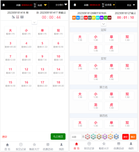 最新大富二开手机UI美化版双玩法整站彩票系统源码,大富快三时时彩源码-源码博士