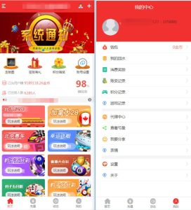 NET开发的幸运28程序源码下载,无需授权带搭建视频教程-源码博士