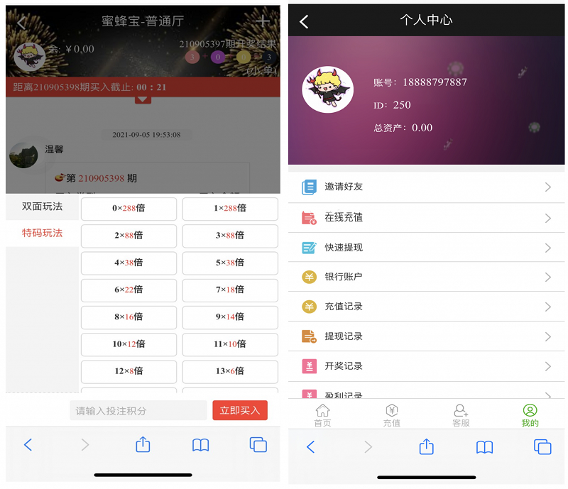 图片[3]-全新修复版蜜蜂宝理财源码,幸运28理财-源码博士