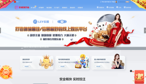 多语言乐娱LEY博弈对战娱乐系统,运营版已增加USDT充值-源码博士