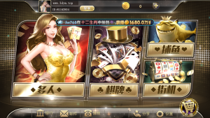 【福利产品】网狐系列金钻娱乐-源码博士