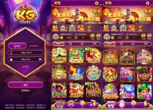 【亲测】新版KG本地PG全套非接口三端完整+视频教程-源码博士